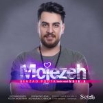 دانلود آهنگ جدید بهزاد پویا به نام معجزه - 