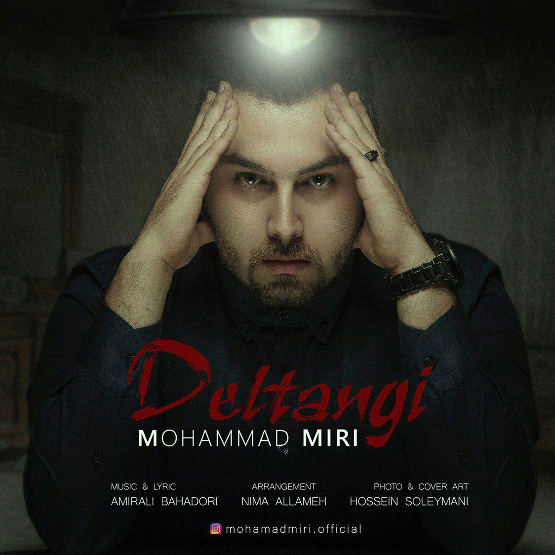 دانلود آهنگ جديد محمد ميري بنام دلتنگي