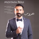 دانلود آهنگ جدید مصطفی فِیلی به نام عروس - 