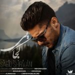 دانلود اهنگ جدید سعيد شيرواني به نام كجايي - 