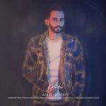 دانلود آهنگ جدید اميرگوهري بنام دل و دل - 