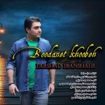دانلود آهنگ جدید فرشاد ایرانشاهی به نام بودنت خوبه - 