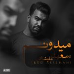 دانلود آهنگ جدید سعید علیشاهی به نام میدونم - 