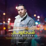 دانلود آهنگ جدید سعید مردانی به نام شب بارونی - 