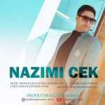 دانلود آهنگ جدید مجتبی آقارضایی به نام نازیمی چک - 