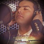 دانلود آهنگ جدید محمد احمدی به نام تویی محبوبه دلم - 