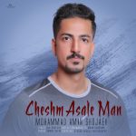دانلود آهنگ جدید محمد امین شجاعی به نام چشم عسل من - 