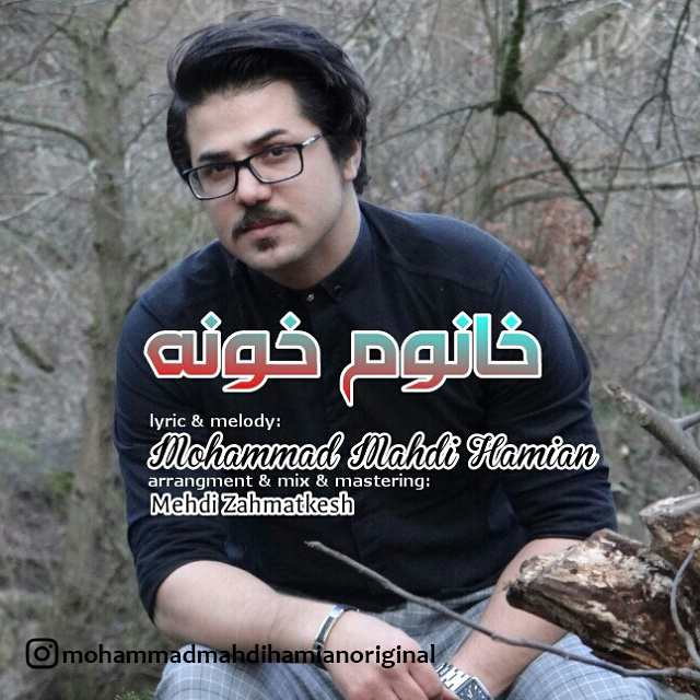 دانلود آهنگ جدید محمد مهدی حامیان به نام خانوم خونه