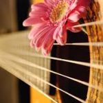 دانلود آهنگ جدید حمیدرضا فقیهی به نام طلب