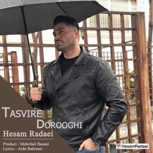 دانلود آهنگ جدید حسام ردایی بنام تصویر دروغی