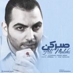 دانلود آهنگ جدید علی ملکی به نام صبر کن - 
