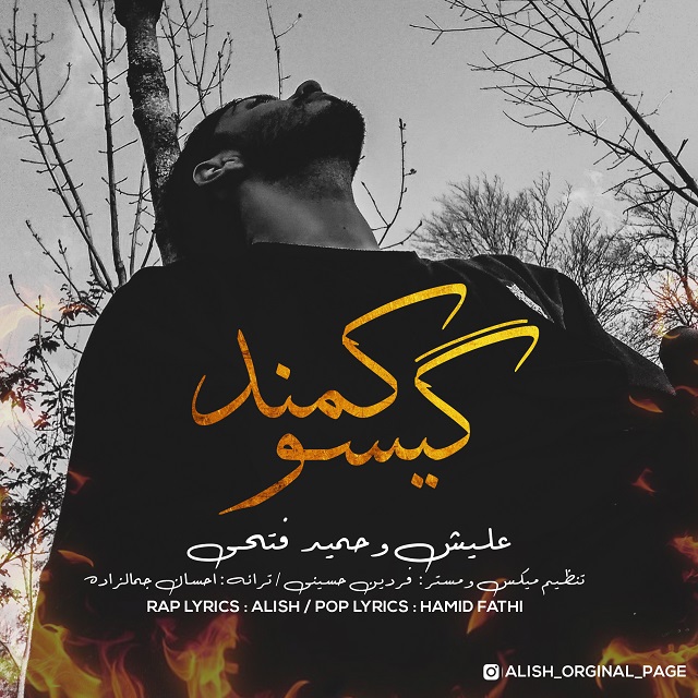 دانلود آهنگ جدید علیش و حمید فتحی بنام گیسو کمند