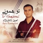 دانلود آهنگ جدید امین ناظر نژاد به نام تو همونی - 