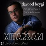 دانلود آهنگ جدید داوود بیگی به نام میترسم - 