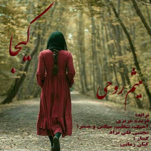 دانلود آهنگ جدید میثم روحی بنام کیجا