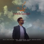 دانلود آهنگ جدید وحید سعیدی به نام زندگی - 