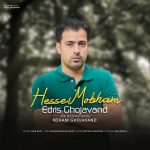 دانلود آهنگ جدید ادریس قجاوند به نام حس مبهم