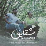 دانلود آهنگ جدید حامد تکلو و احمد علیزاده به نام شقایق