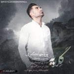 دانلود اهنگ جدید پویا جهانگیری بنام گلایه - 