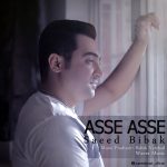 دانلود آهنگ جدید سعید بیباک به نام آسه آسه - 