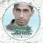 دانلود آهنگ جدید سجاد رضوی به نام همین کاراته - 